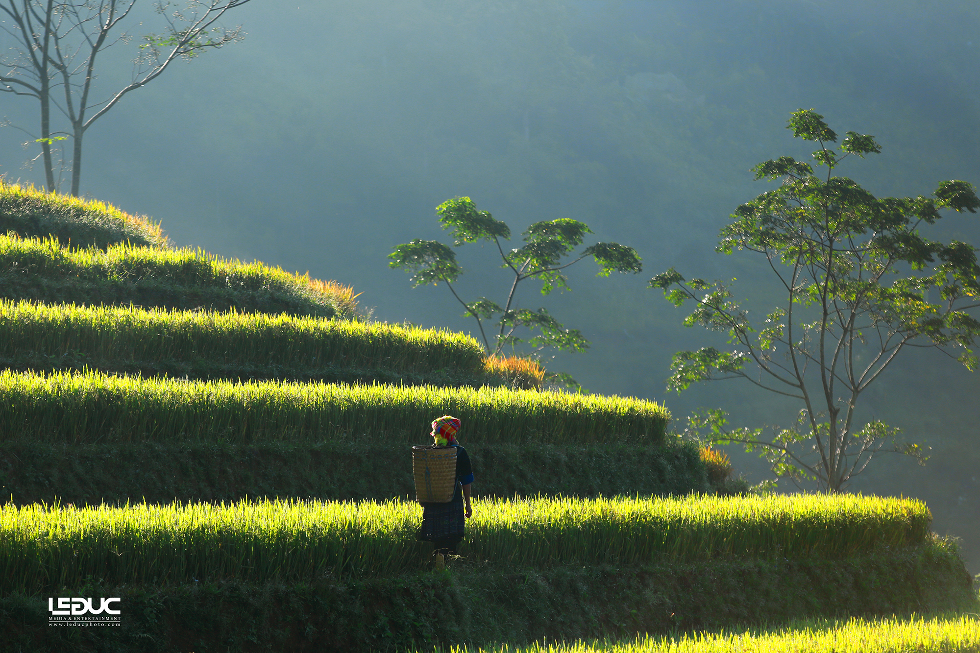 Đường về nhà ở Mù Căng Chải (1)